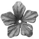Rosette